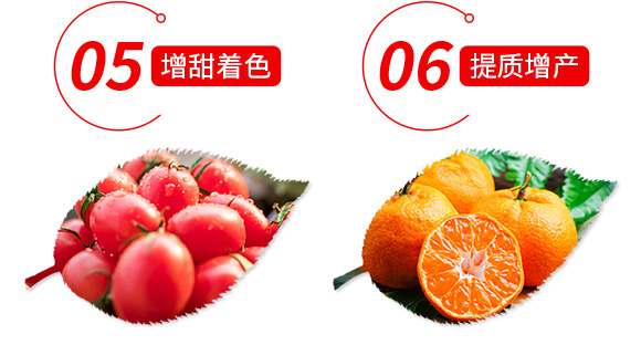 ϡ��΢��Ԫ��ˮ�ܷ���-���M�@-ؐ��(l��)_07