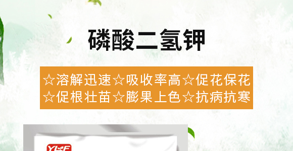 ��������-���R�S_01