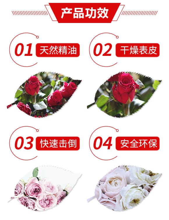 õ�廨���Ú�������-�ֵ�-�����r_03