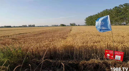 С����ù��Σ�����c������С����ù����ʲôˎ��