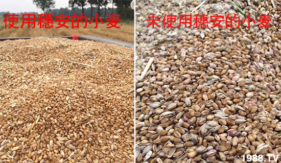 С����ù��Σ�����c������С����ù����ʲôˎ��