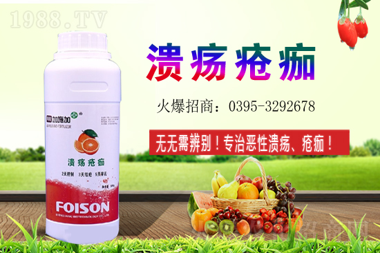 2021��ʯ��Nֲ���������ʯ�������ǰ����ô����