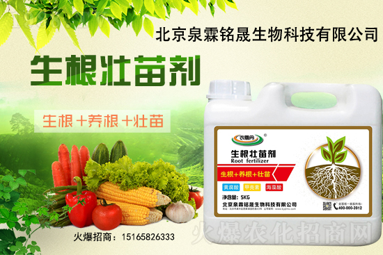 һ���y����2020-11-25�|�����ϝqѸ��