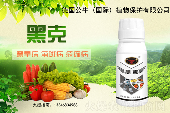 �|��������3Ԫ/��᣿11��28�մ󶹃r������