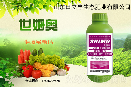 ��ô�A��ȱ�}��ȱ�}߀���a�Ȇ����}����������