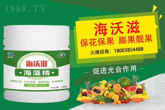 ��ɲ�ݮ��С��ʲô���أ���ô���M(j��n)��ݮ�������