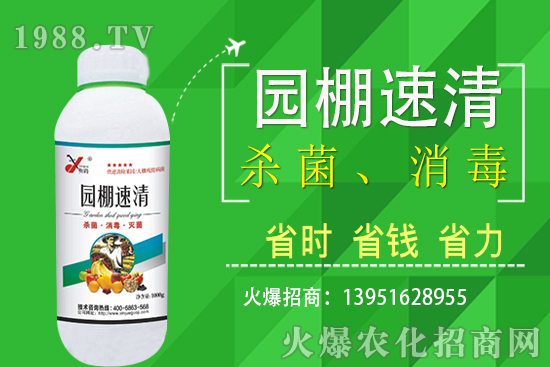 2020��11��5�վֲ������r(ji��)���(b��o)����