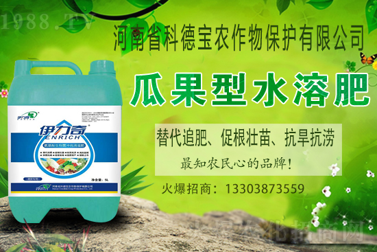 �����M��Ě��ʲô�r��������У�������x�M��Ě����