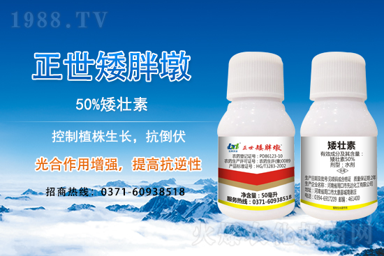 С����ǰ���L��ʲôΣ������ȡʲô��ʩ����Ч��ͽ�L��