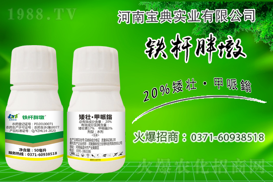 С����ǰ���L��ʲôΣ������ȡʲô��ʩ����Ч��ͽ�L��