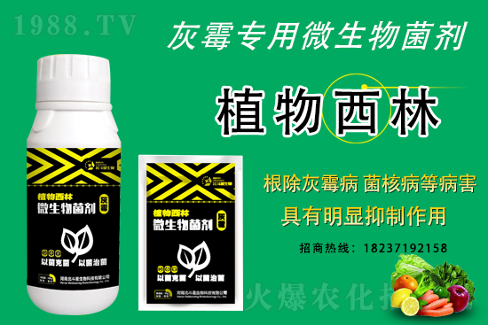 ��ù�������ε�ԭ������ô������Ч������