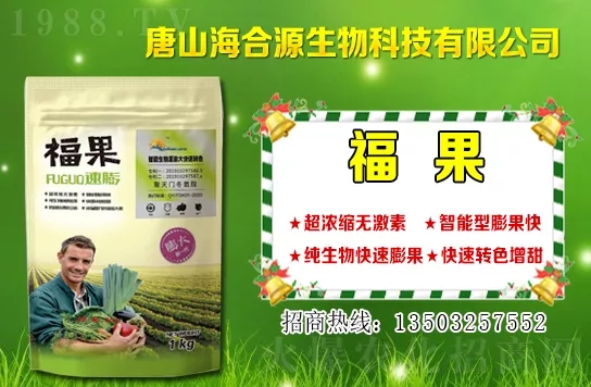 目前小麥?zhǔn)召彾嗌馘X一斤?小麥價格行情如何?