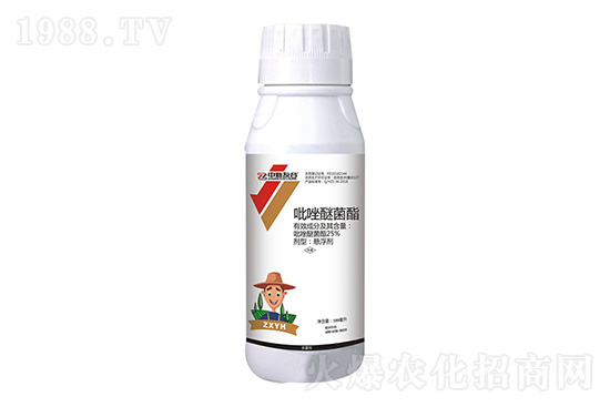 �����`�������r������2020.12.14