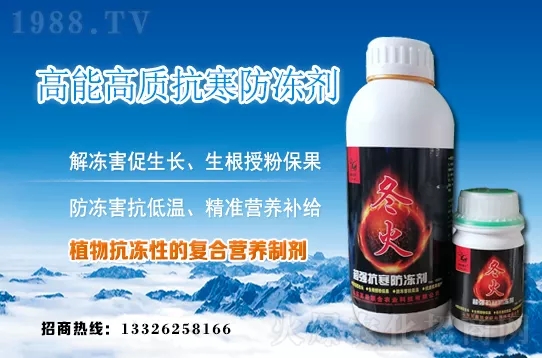 早春韭菜如何施肥?韭菜施肥方法和注意事項!