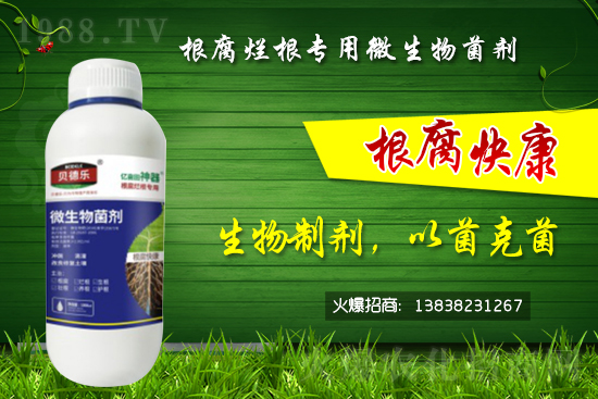 ΢������������θ�����������ô�x��