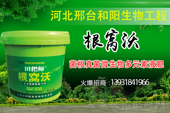 ��Щ��������������������ȡʲô��ʩ���Է�����