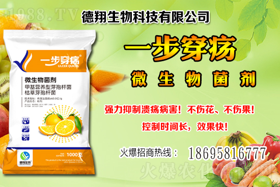 ��(gu��)�a(ch��n)�󶹃r(ji��)��(w��n)���е���2020-12-21�����������ֵ؅^(q��)��������