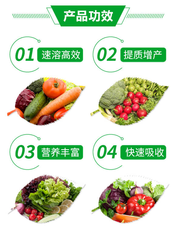 ���w⛣�25kg��-�����A_03