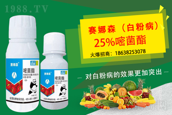 ��ݮ�׷۲���(l��i)�u���p�~��������ݮ�׷۲�Ҫ��η�����