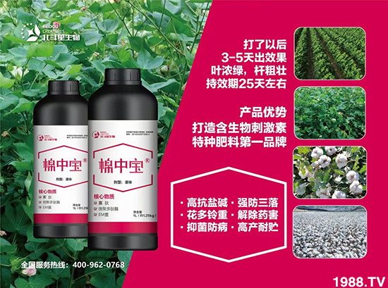 �طN�ʞ�ʲô�@ô����ʲô���c֮̎��