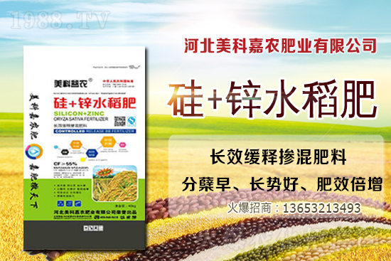 2020-12-24日國內(nèi)各地區(qū)小麥價(jià)格行情