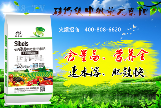 ���}�VԪ�ط����˽���٣���̎����Щ��