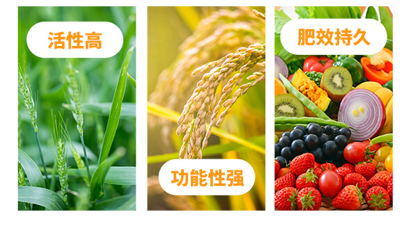 ��Ԫ��-ϲ�r(n��ng)��-�W��ɭ_04