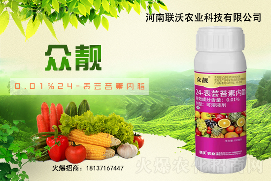 ��ݮ�������ɫ������ο��������������ɫ��