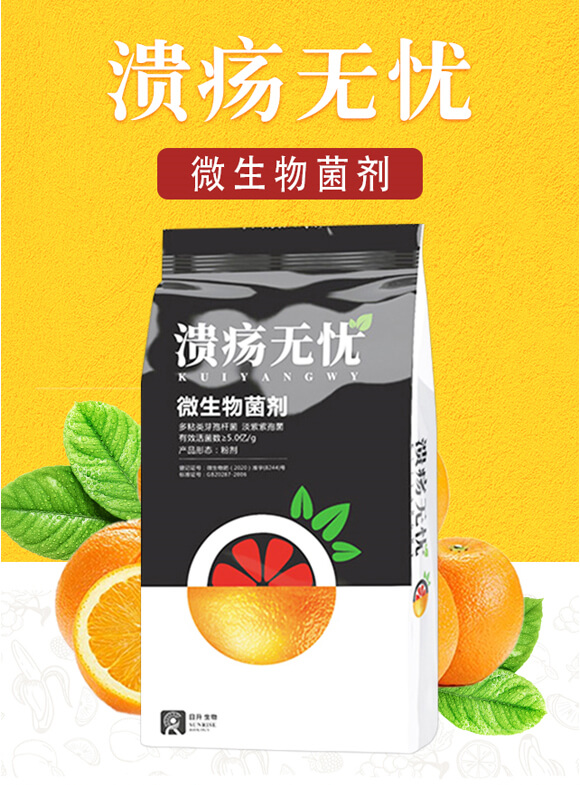 ΢�������-�����o(w��)�n-��������_01