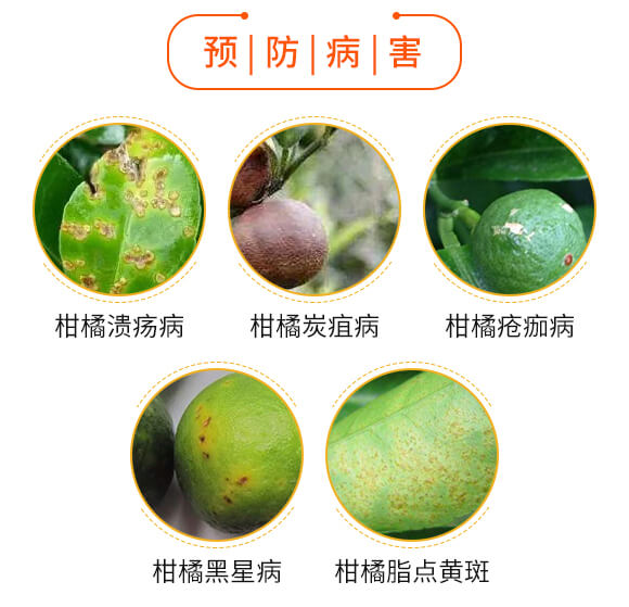 ΢�������-�����o(w��)�n-��������_03