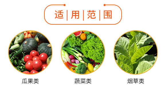 ΢�������-�����o(w��)�n-��������_05