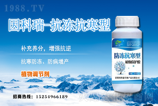 ���յ��ȃr(ji��)������Xһ����2020��12��9�յ��ȃr(ji��)������