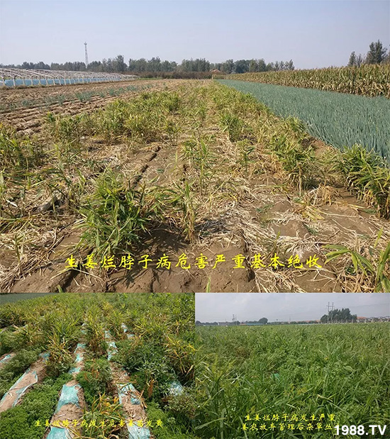     �l(f��)�������a(ch��n)Ʒ������أ�n������ʽ���ؠ����Ӳ����Ñ���������Ч����������