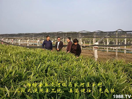     �l(f��)�������a(ch��n)Ʒ������أ�n������ʽ���ؠ����Ӳ����Ñ���������Ч�������ˣ�