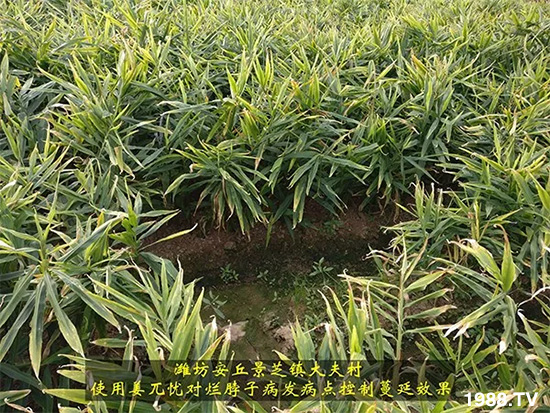     �l(f��)�������a(ch��n)Ʒ������أ�n������ʽ���ؠ����Ӳ����Ñ���������Ч�������ˣ�