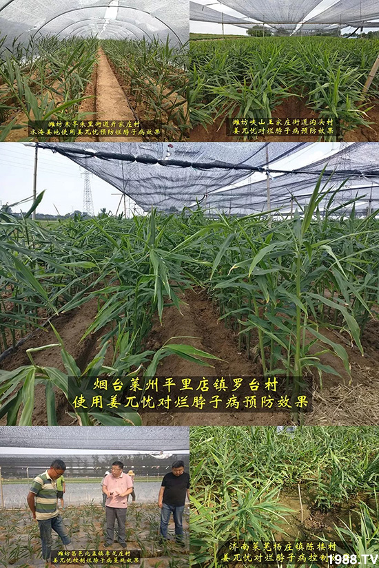     �l(f��)�������a(ch��n)Ʒ������أ�n������ʽ���ؠ����Ӳ����Ñ���������Ч����������