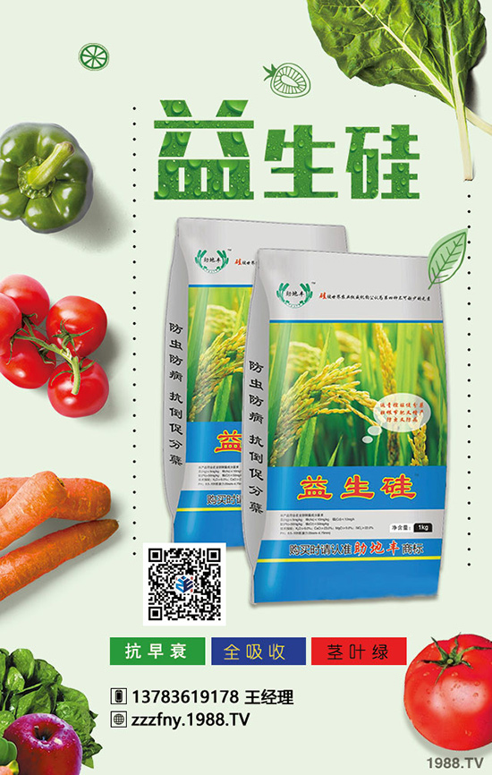 春季韭菜施肥如何施撒?怎樣合理呢?