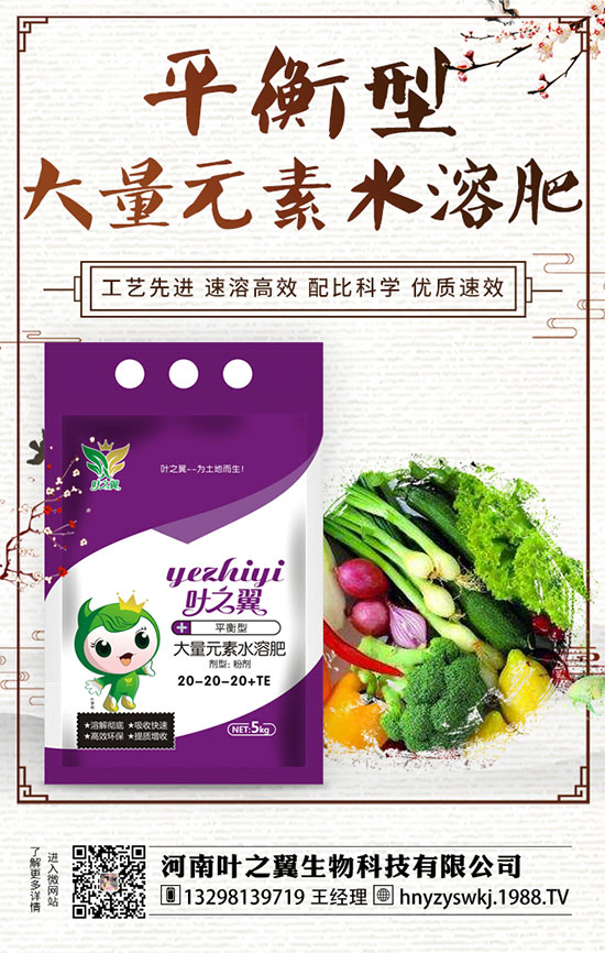 ĵ��ʲô�r���_����������Lĵ���_���r�g��