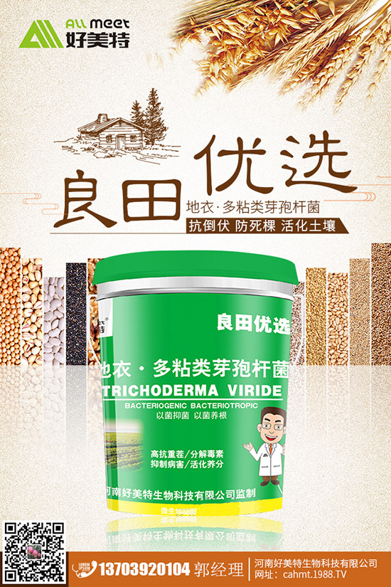 番茄青皮果到底什么原因?番茄青皮果如何有效預(yù)防?