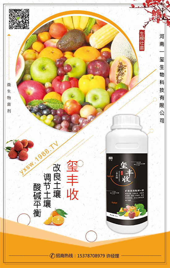 ���Ĳ�ʲô�r(sh��)�g���������Ĳ˵�����Ҫ�c(di��n)��