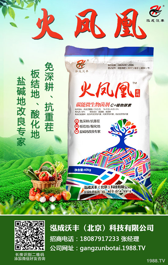 ��Ҋ�������ɺ��x����Щ���������ɺ��x���������