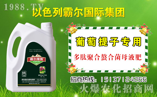 �������\�l(f��)չ����ɫ�аԠ��ٺ�1988.TV�_��(chu��ng)���x����