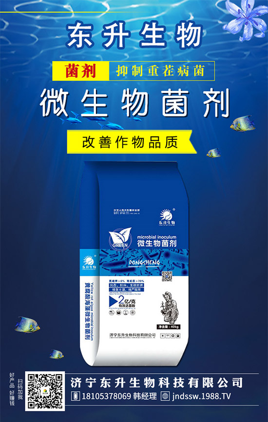 �²�Ʒ�N����Щ���²˵��B(y��ng)ֳע�����(xi��ng)��