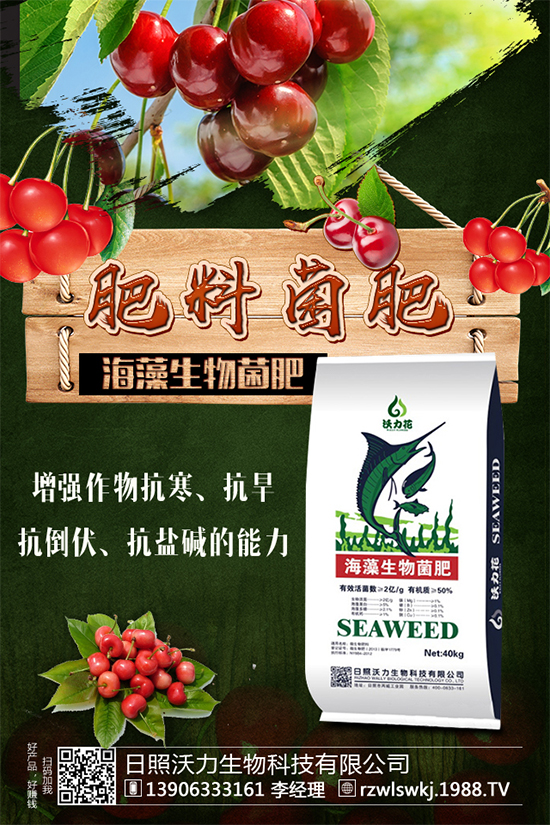 ������ԓ��ηNֲ���紺���׸߮a(ch��n)�Nֲ���g(sh��)Ҫ�c(di��n)