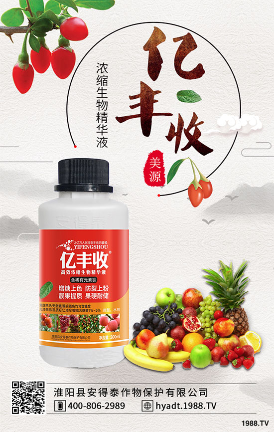 生姜高產(chǎn)栽培措施,生姜病蟲(chóng)害防治!