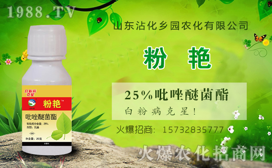 �r(n��ng)���W(w��ng)ϲӭ�»�飬�y���l(xi��ng)�@�r(n��ng)������ؔ��֮·��