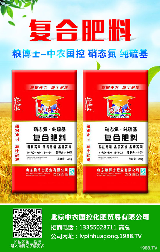 茭白什么季節(jié)種植，茭白種植技巧有哪些？