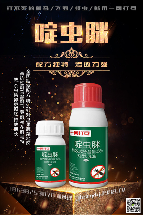 白粉虱對(duì)辣椒有什么危害？辣椒白粉虱怎樣防治好？