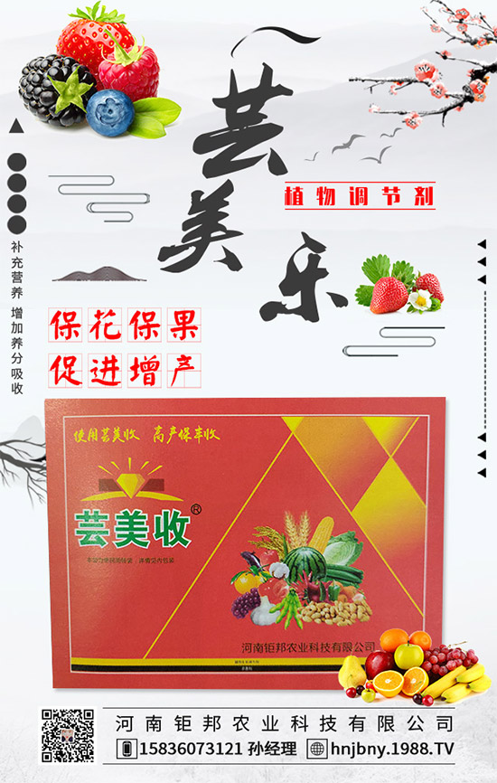 �����׽�����ʲôΣ���������׽����ķ��δ�ʩ��