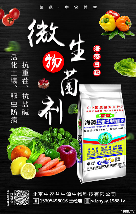     ���@ȫ���l(f��)�\�����������r��(w��n)�������¶��@�����߄�2020-3-28��